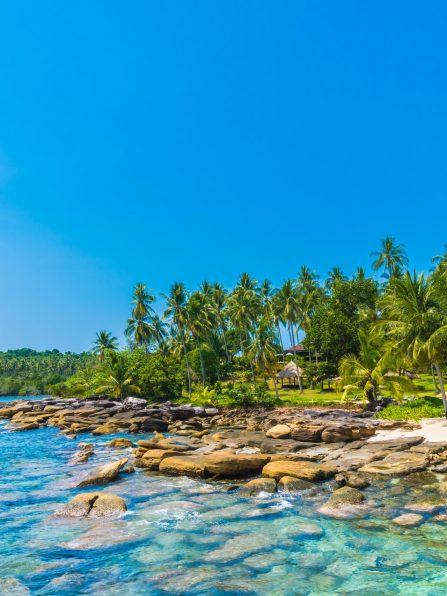 Beautiful tropical beach and sea with coconut palm tree in paradise island - Holiday Vacation concept